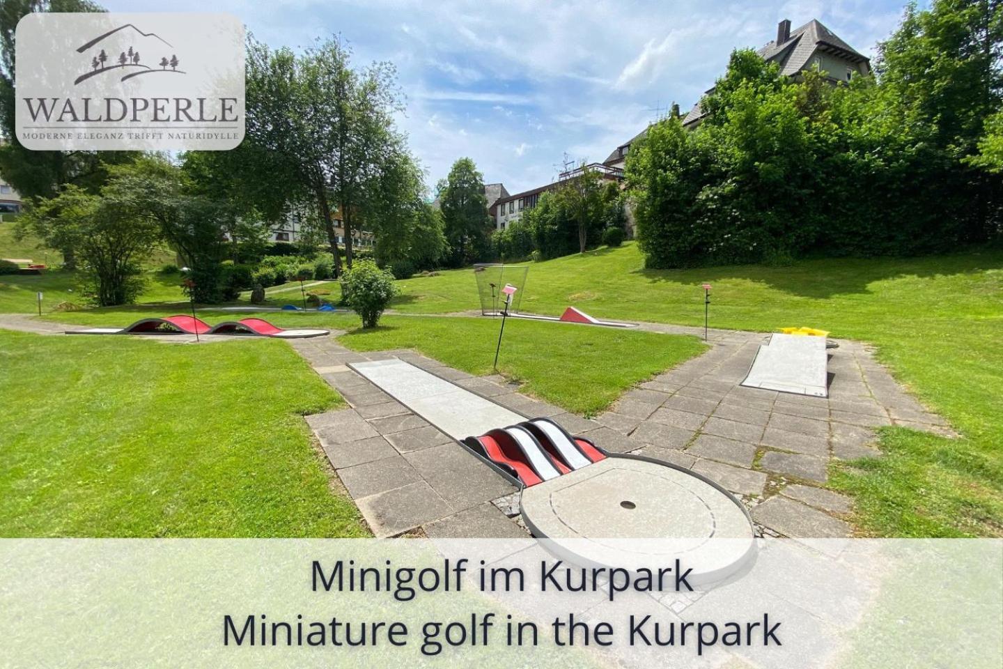 Exklusives 5-Sterne Apartment Waldperle Mit Indoor-Pool, Sauna, Top Lage Und Ausblick In Die Natur, Hunde Willkommen Schonach im Schwarzwald Kültér fotó