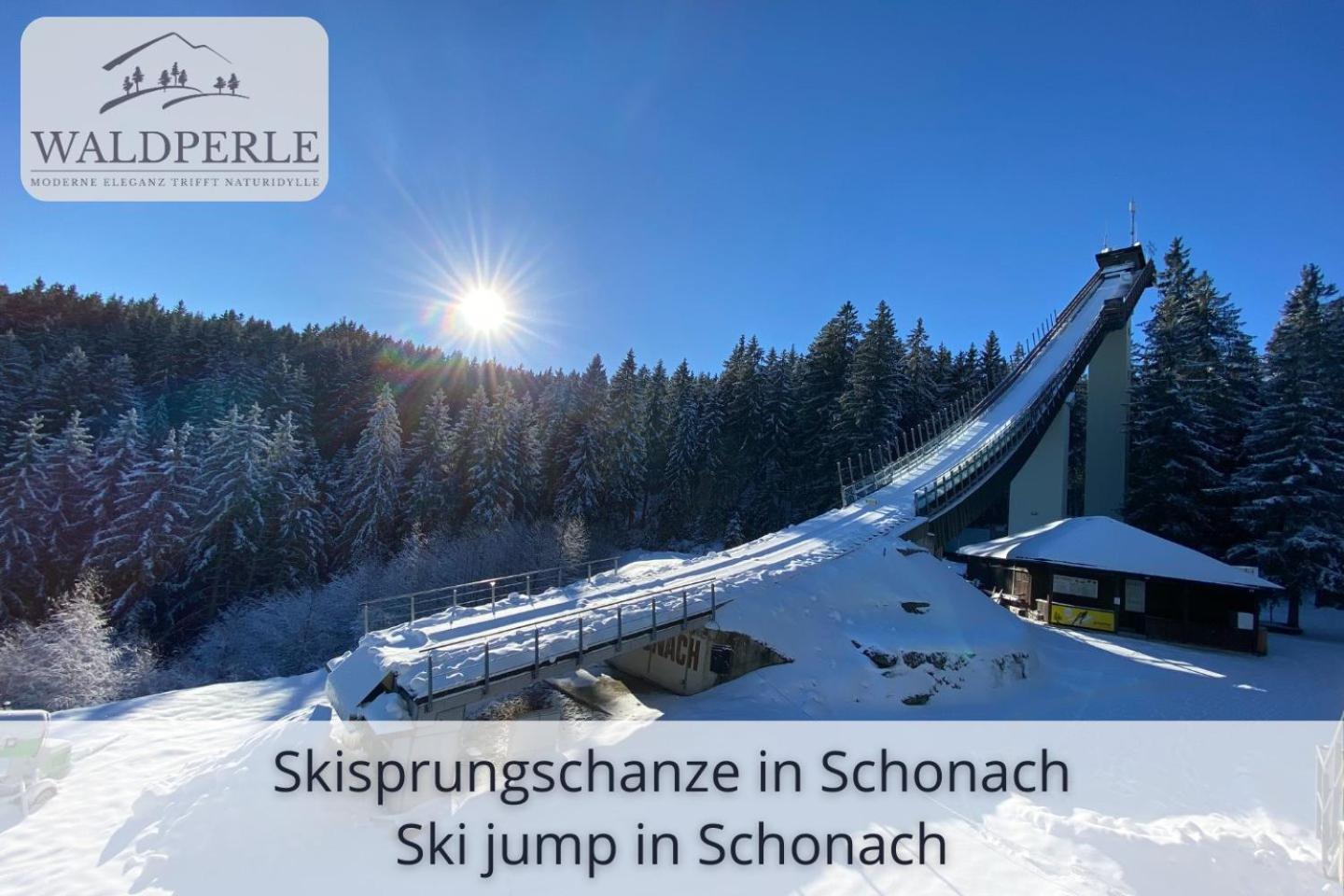 Exklusives 5-Sterne Apartment Waldperle Mit Indoor-Pool, Sauna, Top Lage Und Ausblick In Die Natur, Hunde Willkommen Schonach im Schwarzwald Kültér fotó