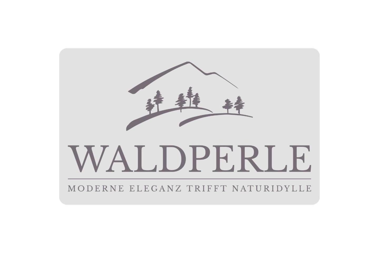 Exklusives 5-Sterne Apartment Waldperle Mit Indoor-Pool, Sauna, Top Lage Und Ausblick In Die Natur, Hunde Willkommen Schonach im Schwarzwald Kültér fotó