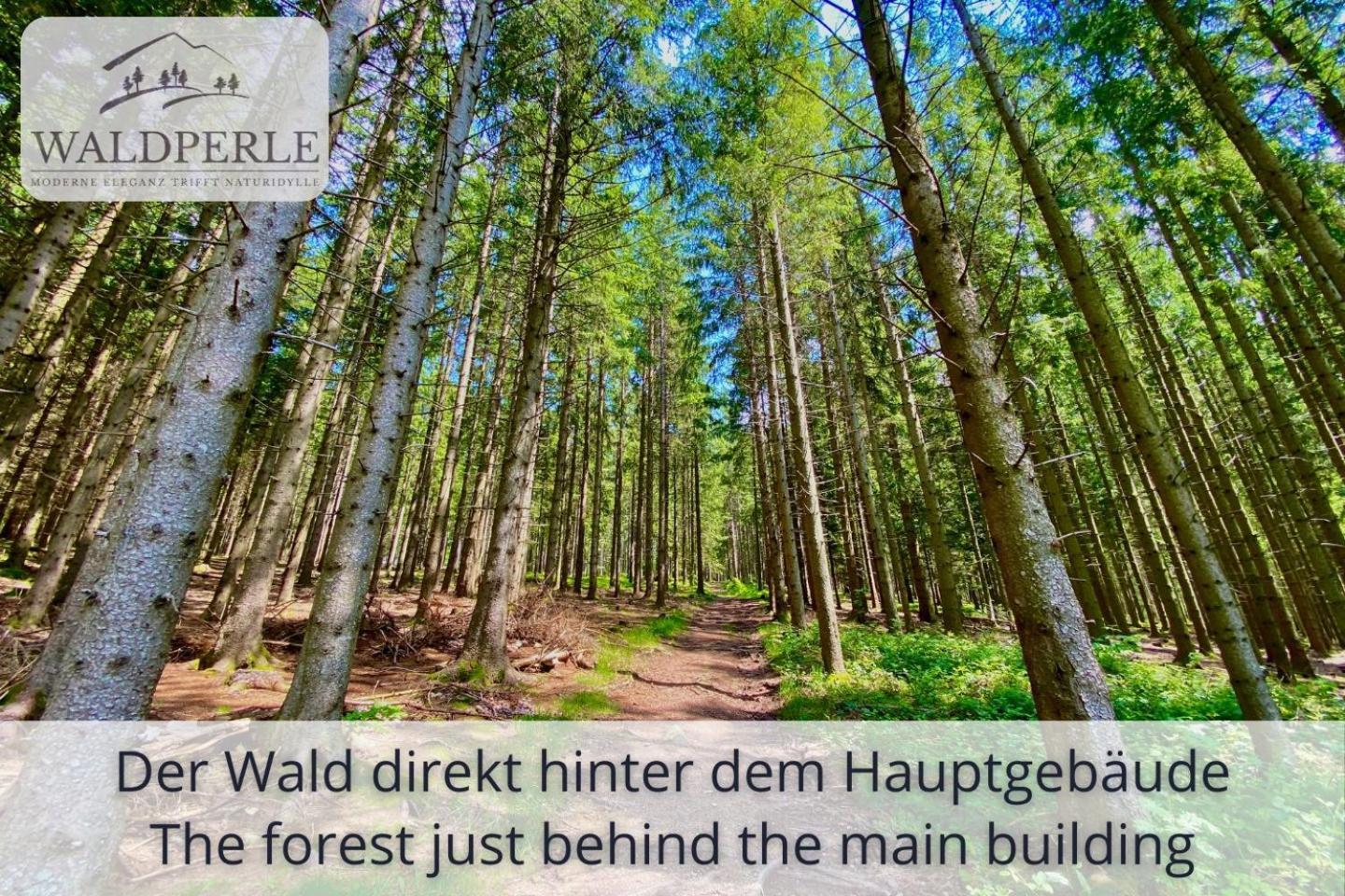 Exklusives 5-Sterne Apartment Waldperle Mit Indoor-Pool, Sauna, Top Lage Und Ausblick In Die Natur, Hunde Willkommen Schonach im Schwarzwald Kültér fotó