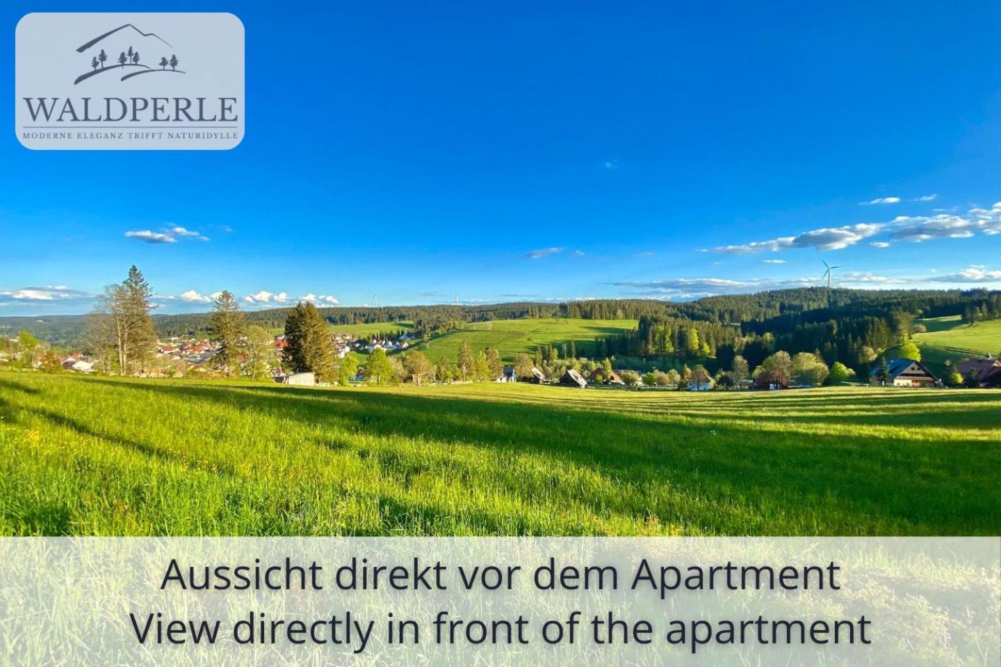 Exklusives 5-Sterne Apartment Waldperle Mit Indoor-Pool, Sauna, Top Lage Und Ausblick In Die Natur, Hunde Willkommen Schonach im Schwarzwald Kültér fotó