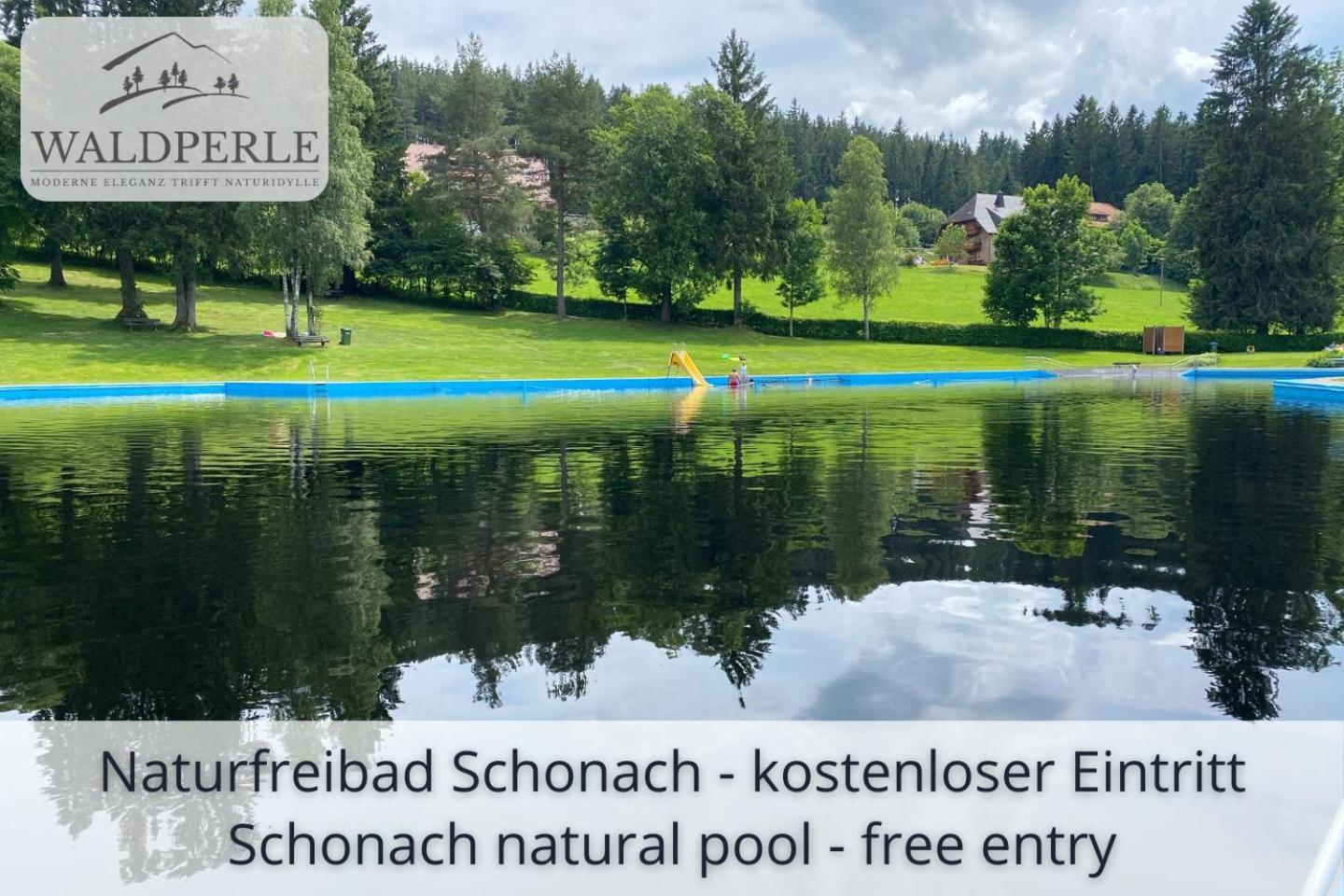 Exklusives 5-Sterne Apartment Waldperle Mit Indoor-Pool, Sauna, Top Lage Und Ausblick In Die Natur, Hunde Willkommen Schonach im Schwarzwald Kültér fotó