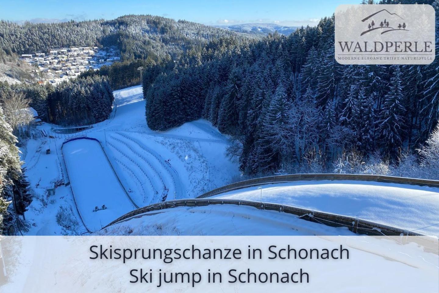 Exklusives 5-Sterne Apartment Waldperle Mit Indoor-Pool, Sauna, Top Lage Und Ausblick In Die Natur, Hunde Willkommen Schonach im Schwarzwald Kültér fotó