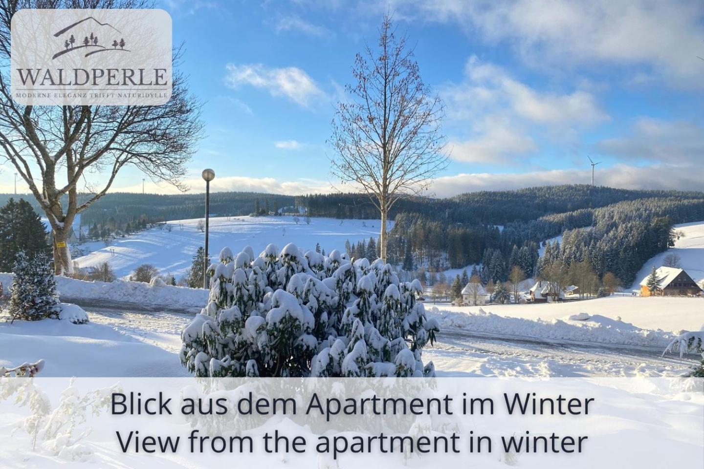 Exklusives 5-Sterne Apartment Waldperle Mit Indoor-Pool, Sauna, Top Lage Und Ausblick In Die Natur, Hunde Willkommen Schonach im Schwarzwald Kültér fotó